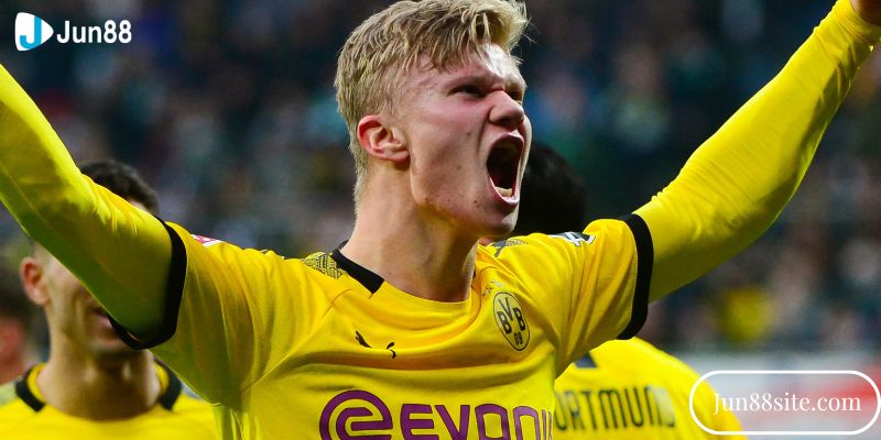 Erling và sự nghiệp câu lạc bộ